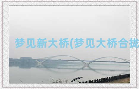 梦见新大桥(梦见大桥合拢成功)