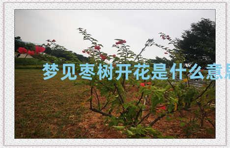 梦见枣树开花是什么意思